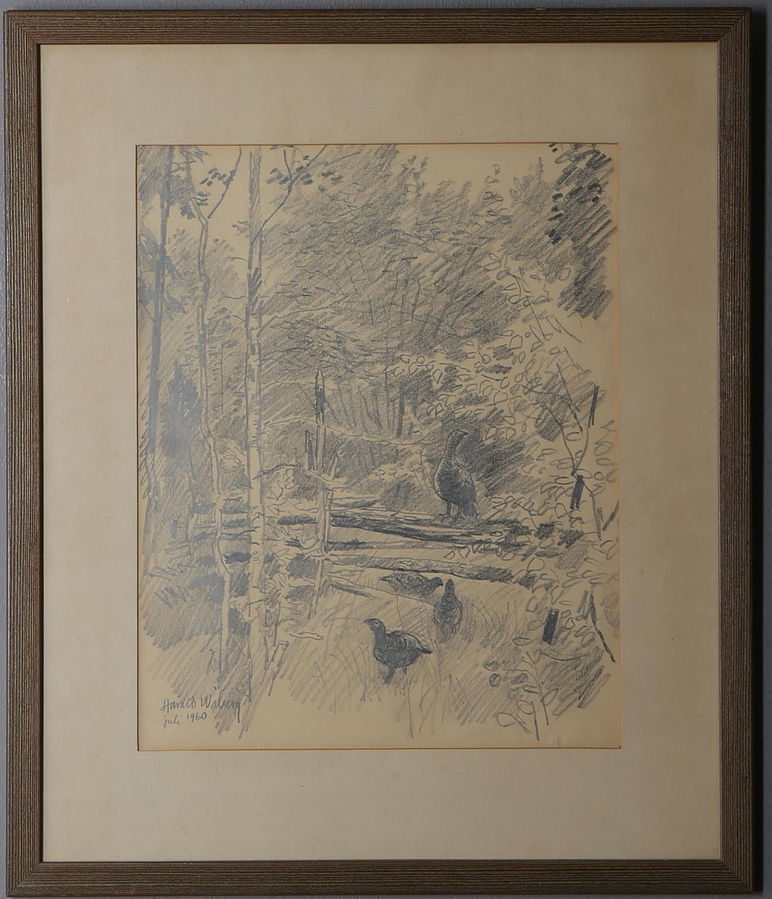 HARALD WIBERG. birds, drawing, signed and dated July 1960.