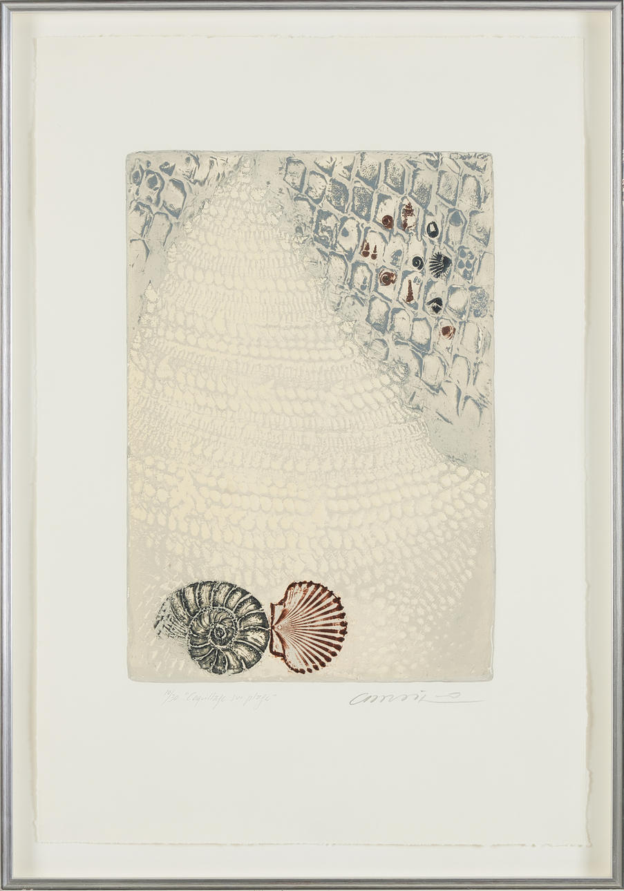 RIMER CARDILLO URUGUAY (FÖDD 1944). "Coquillage sur plage, färgetsning.