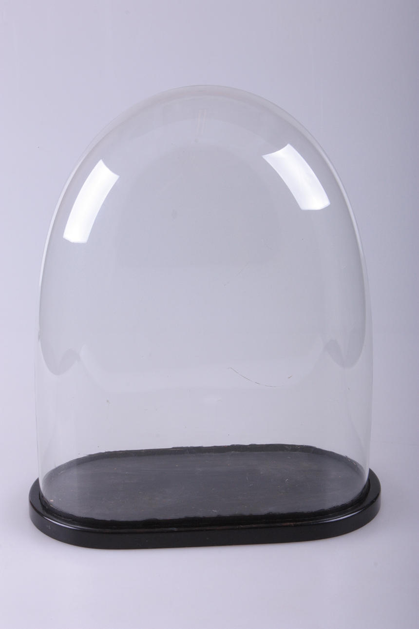 GLASKUPPEL med træbund.