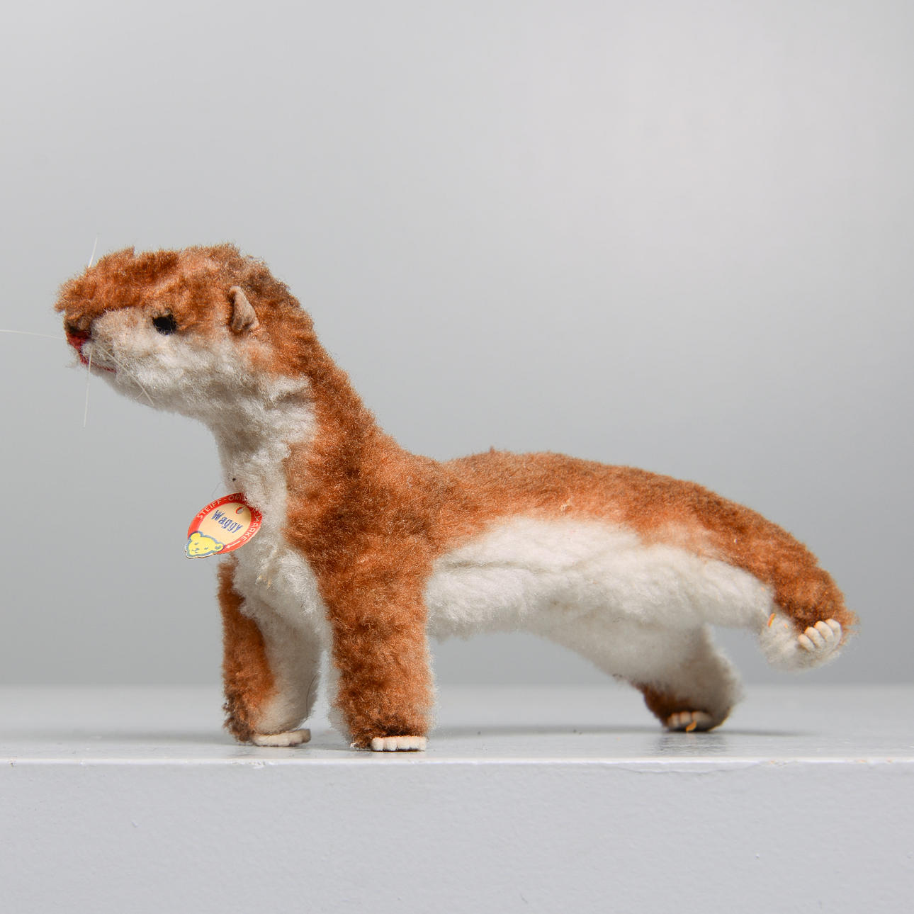 STEIFF, ermine, "Waggy", 1950s.