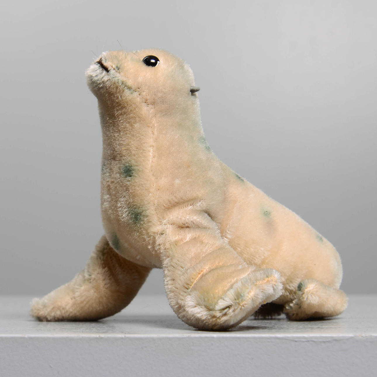 STEIFF, seal, "Robby", 1954-1974.