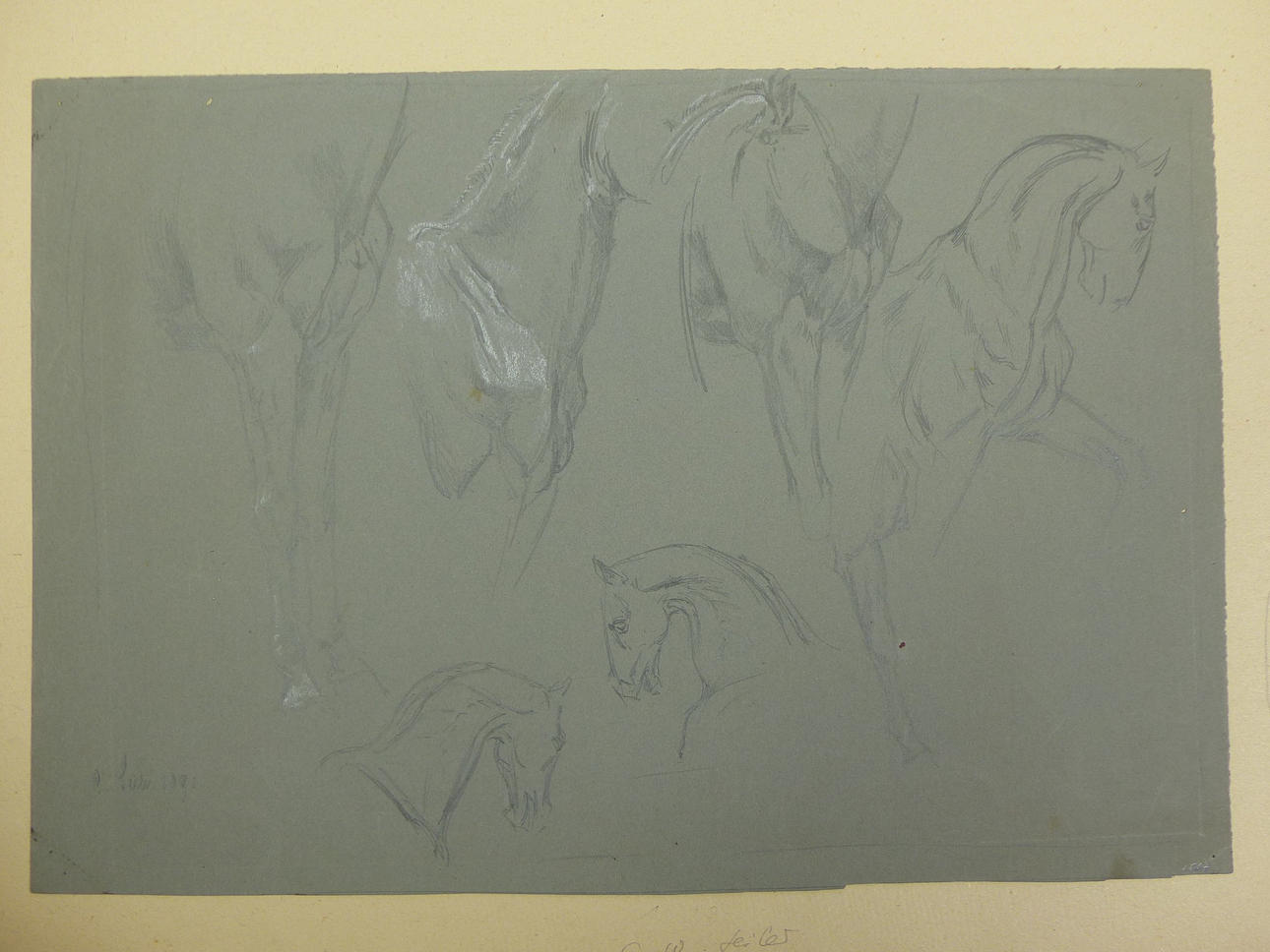 CARL WILHELM ANTON SEILER. studier av hästdjur.