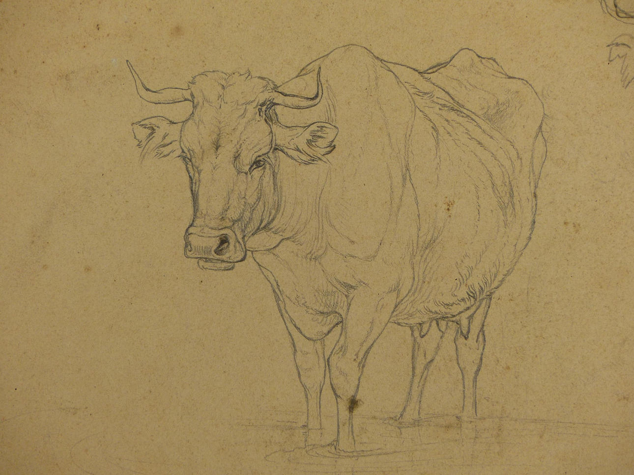 AGOSTO SEIDEL. tres dibujos.