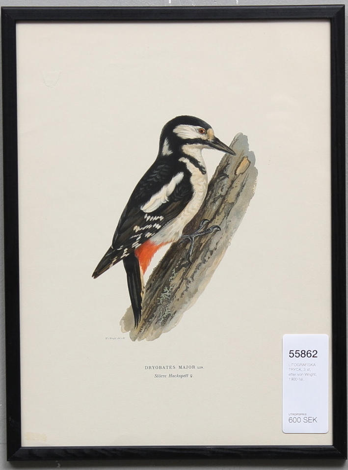 LITOGRAFISKA TRYCK, 3 st, efter von Wright, 1900-tal.