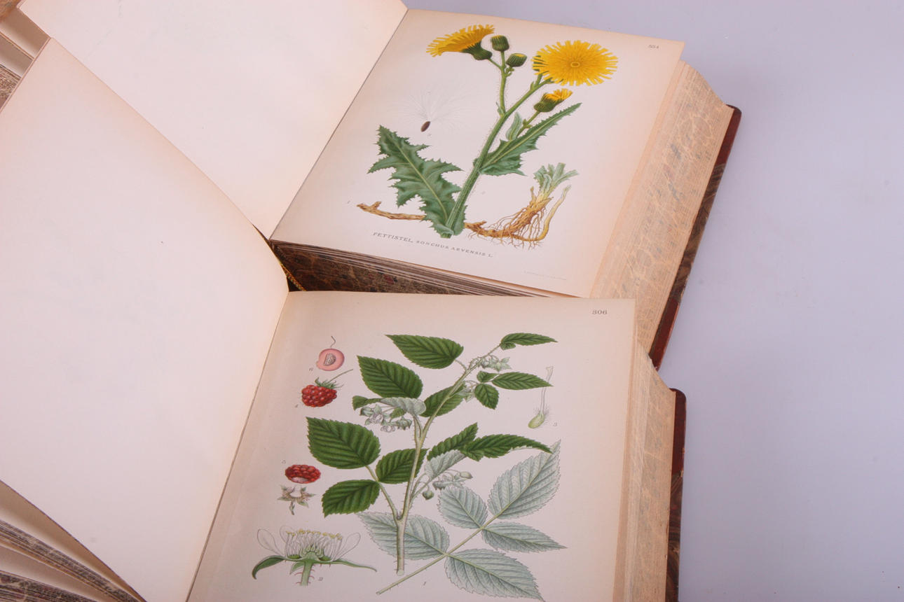 BØGER, Nordisk flora, 4 bind, Lindman CAM.