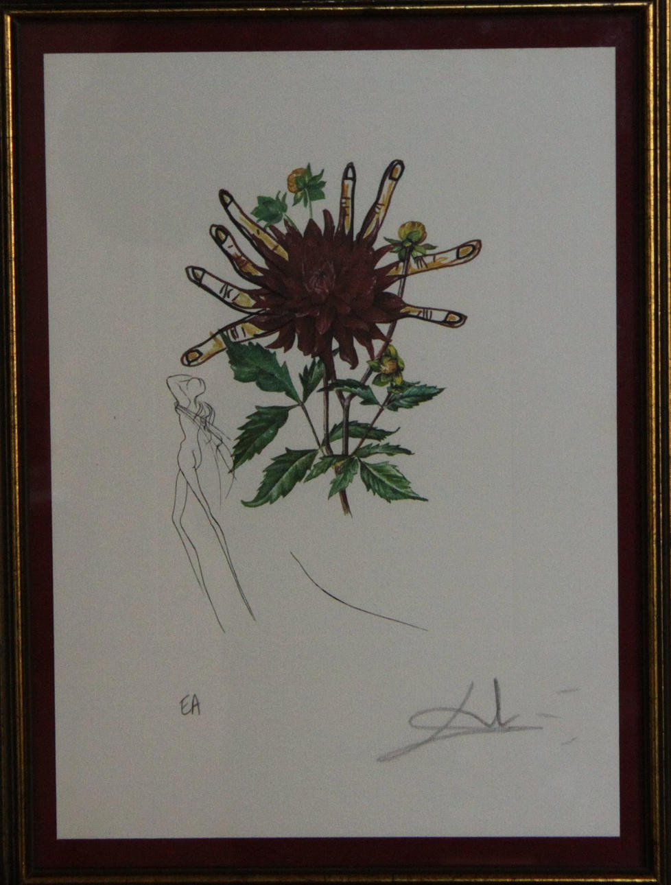 SALVATOR DALI. ROSEA.