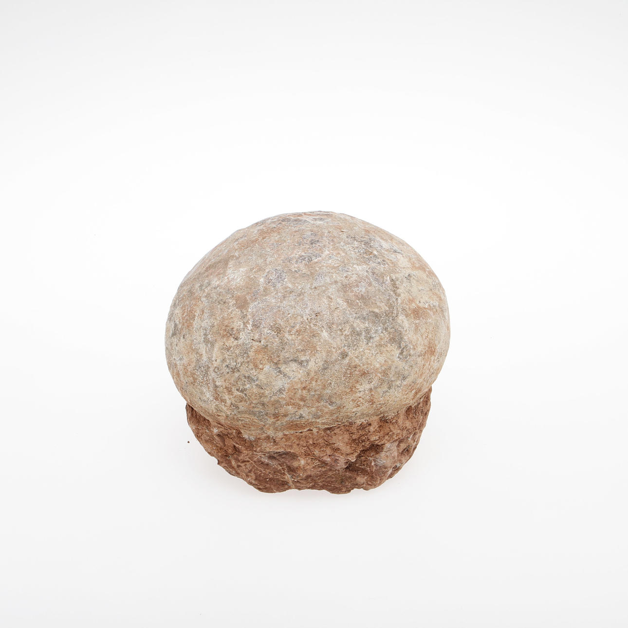 DINOSAURIEÄGG, fossil.