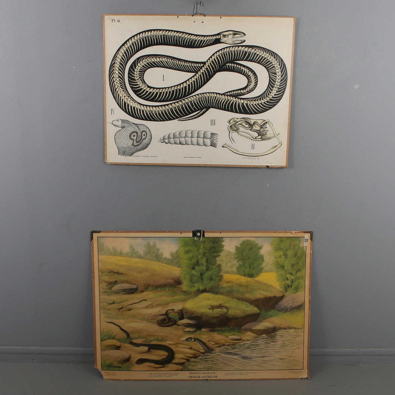 SKOLPLANSCHER, 2 st, omkring 1900-talets mitt.