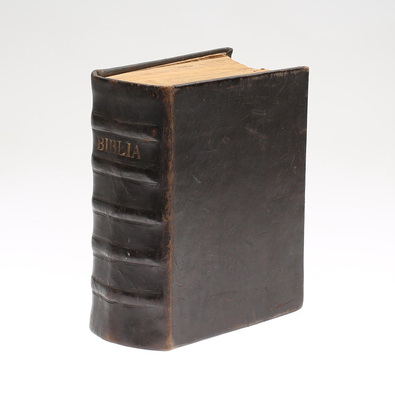 BIBLIA, siglo XIX.