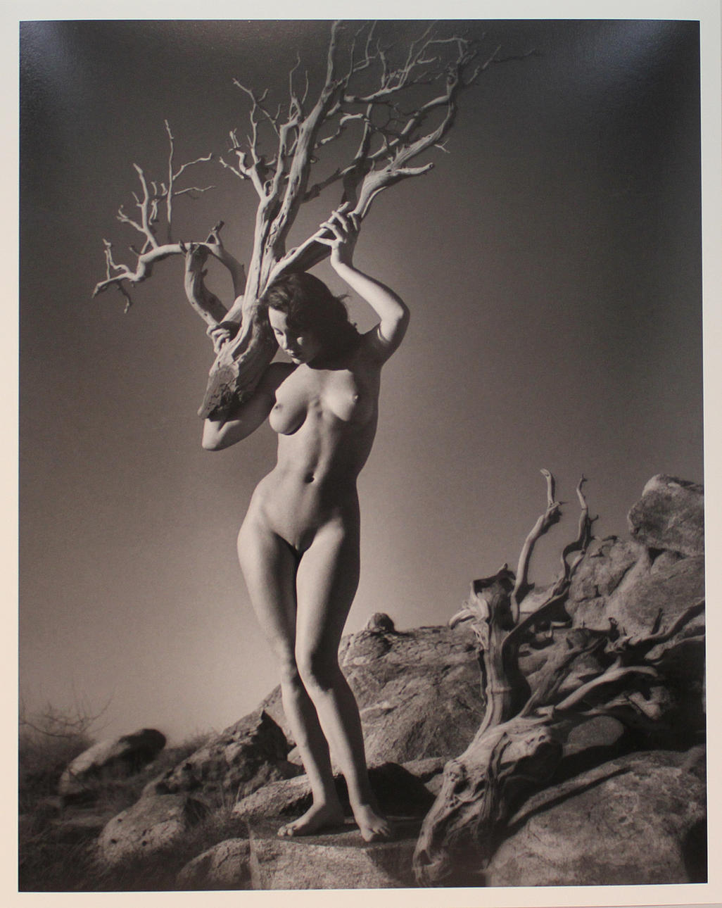 ANDRÉ DE DIENES. Modell med gren. Fine art print. Stämpelmärkt á tergo och numrerad 121/200, daterad 16/5-2006.