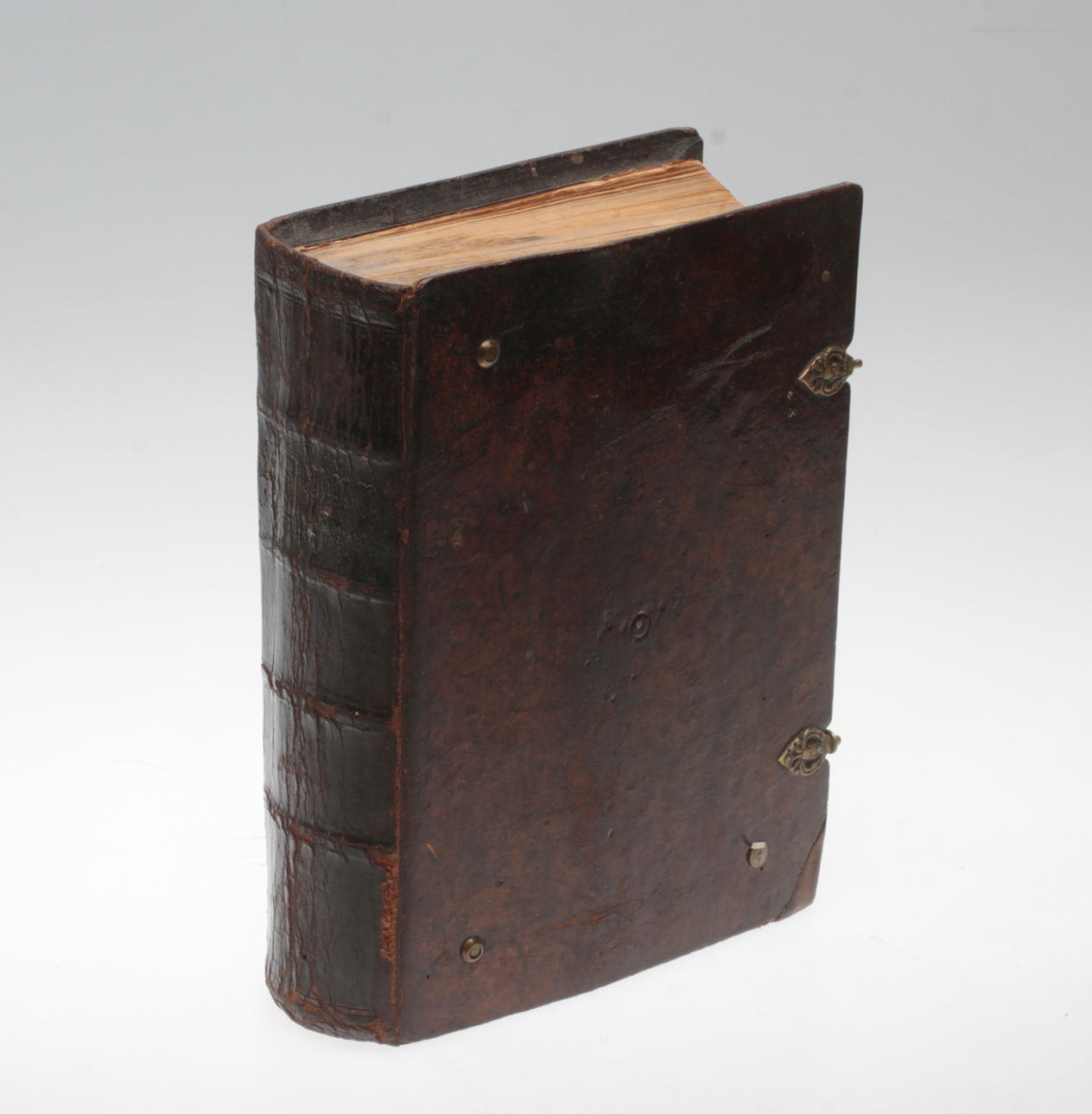 KARL XII.S BIBEL, Lund 1880.