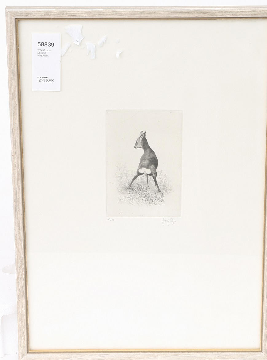 BENGT LILJA. Litografi, Rådjursget.