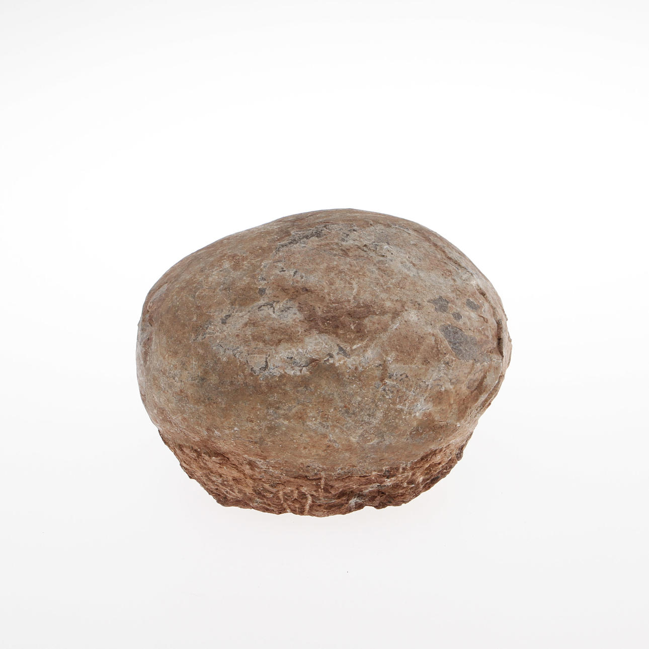 HUEVO DE DINOSAURIO, fósil.