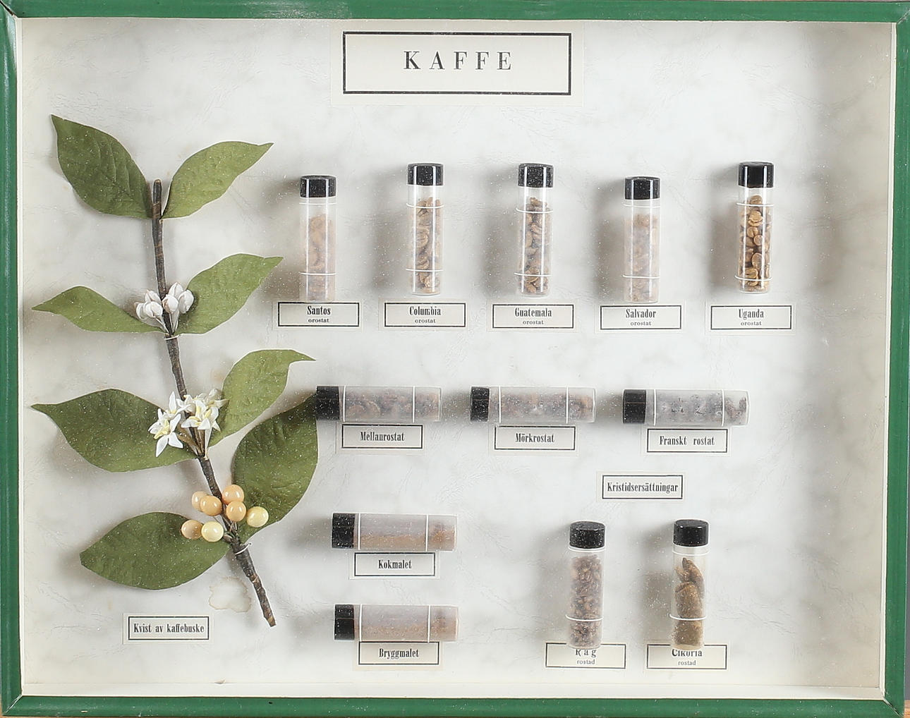 SCHUBLADENRAHMEN mit Kaffeeproben, Mitte 20. Jahrhundert.