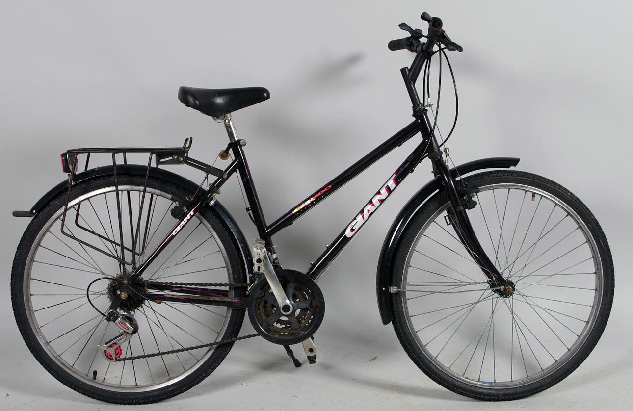 FLICKCYKEL, Giant.