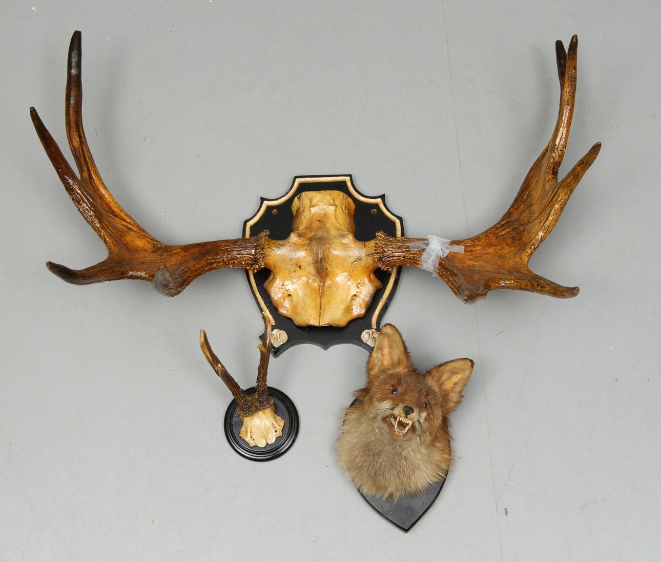 JAKTROFÈR, 3 st, bla räv och älg, 1900-tal.