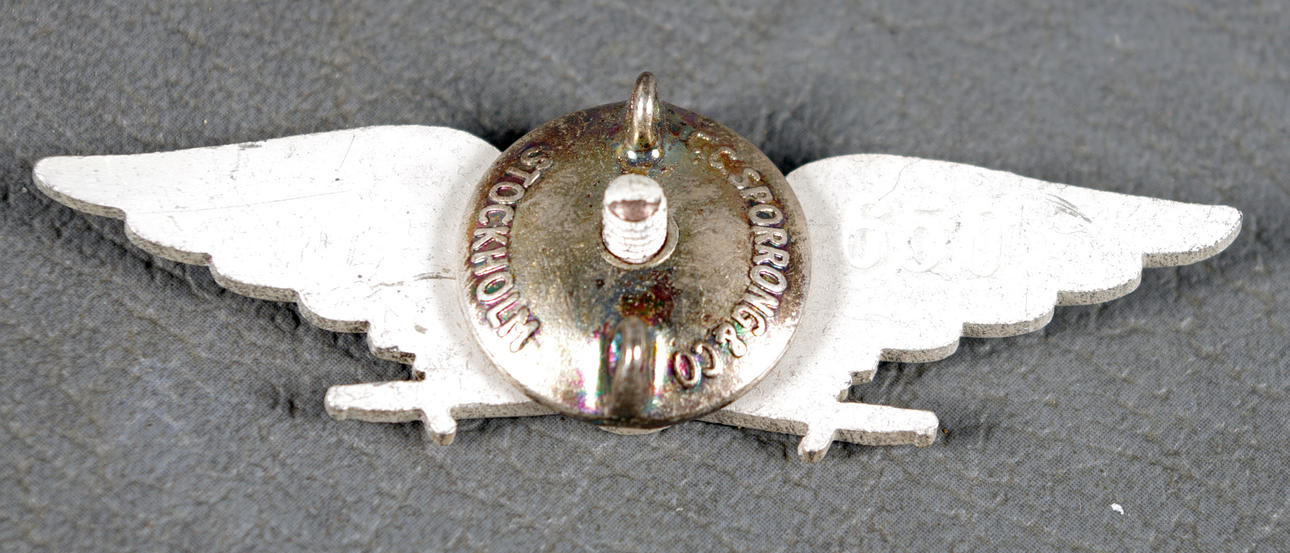 FLYGNAVIGATÖRSMÄRKE m/43, Nr 650.