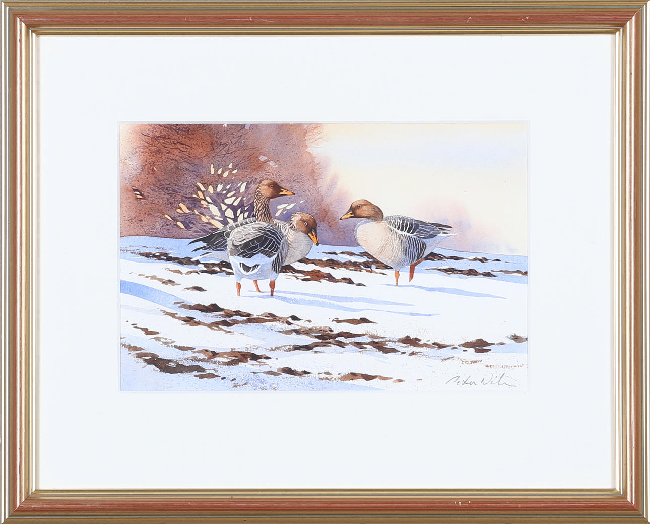 PETER NILSSON. akvarell, signerad.