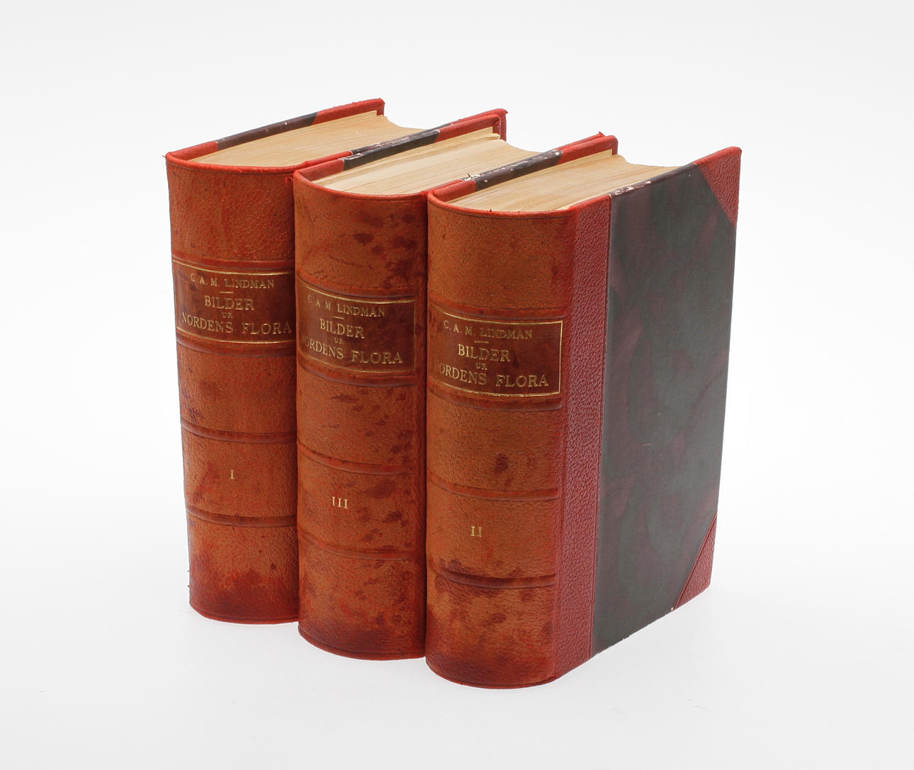 BÖCKER, 3 volymer, "Bilder ur Nordens flora", C.A.M Lindman, Wahlström & Widstrand.