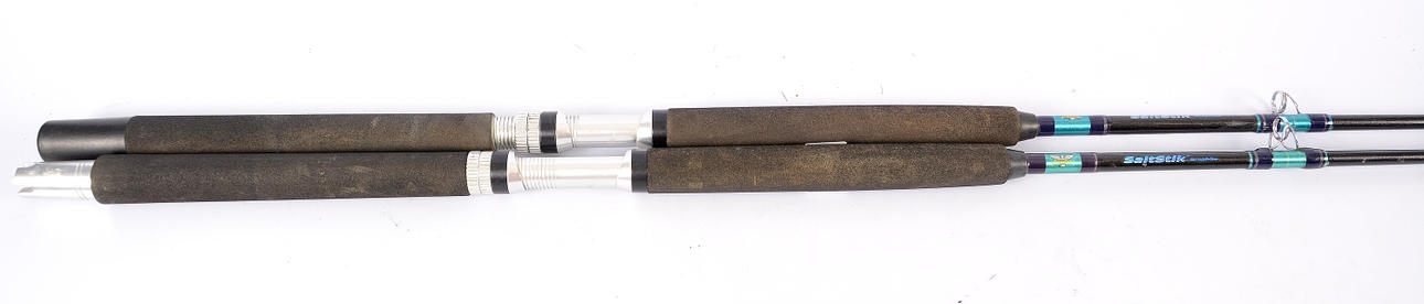 FISKESTANG, 2 stk, Salt Stik, Fenwick.