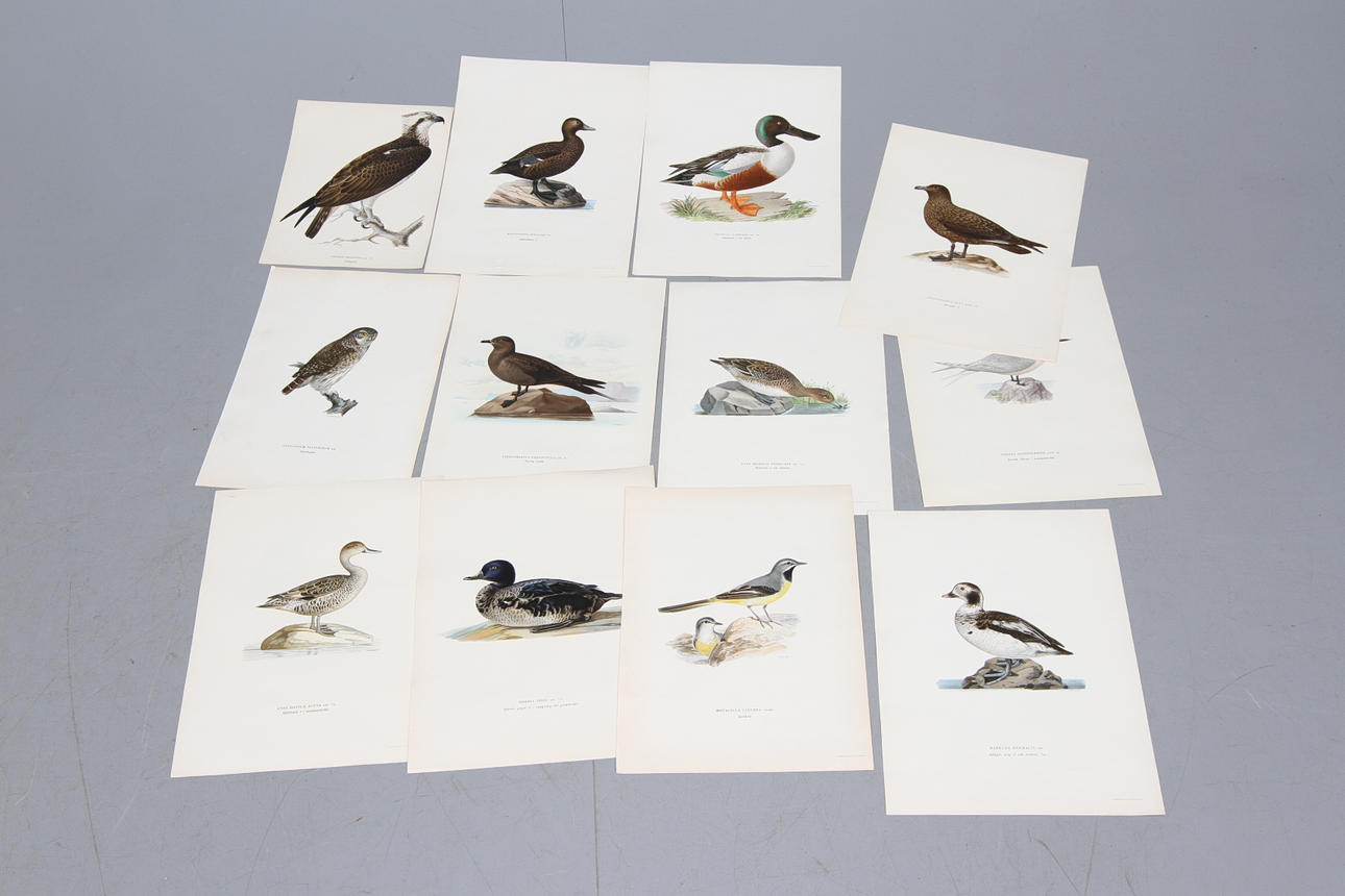 TRYCK, 13 st, bl.a. 9 efter von Wright, A. Börtzells, Stockholm.