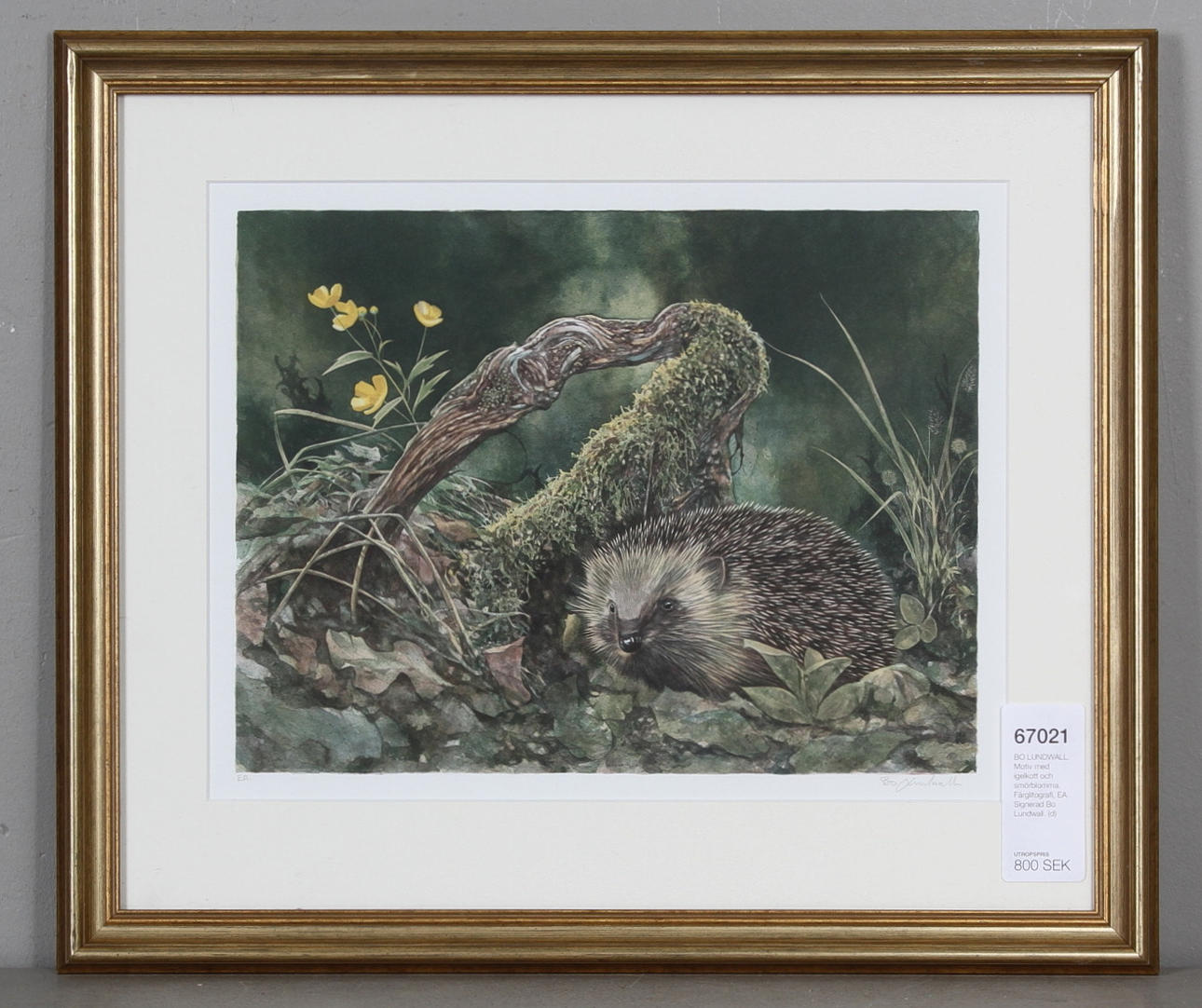 BO LUNDWALL. Motiv med igelkott och smörblomma. Färglitografi, EA. Signerad Bo Lundwall.