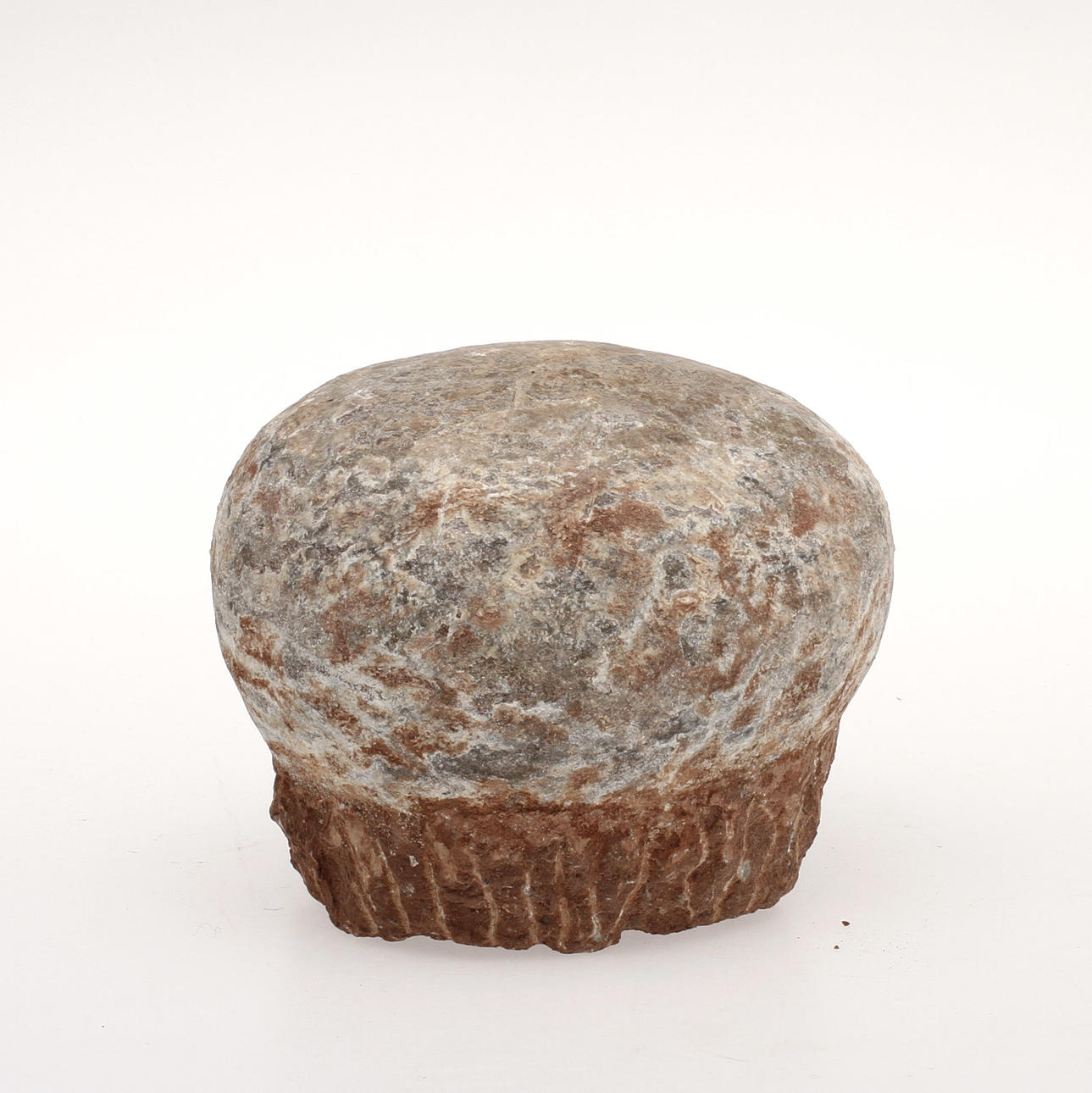 DINOSAURIEÄGG, fossil.