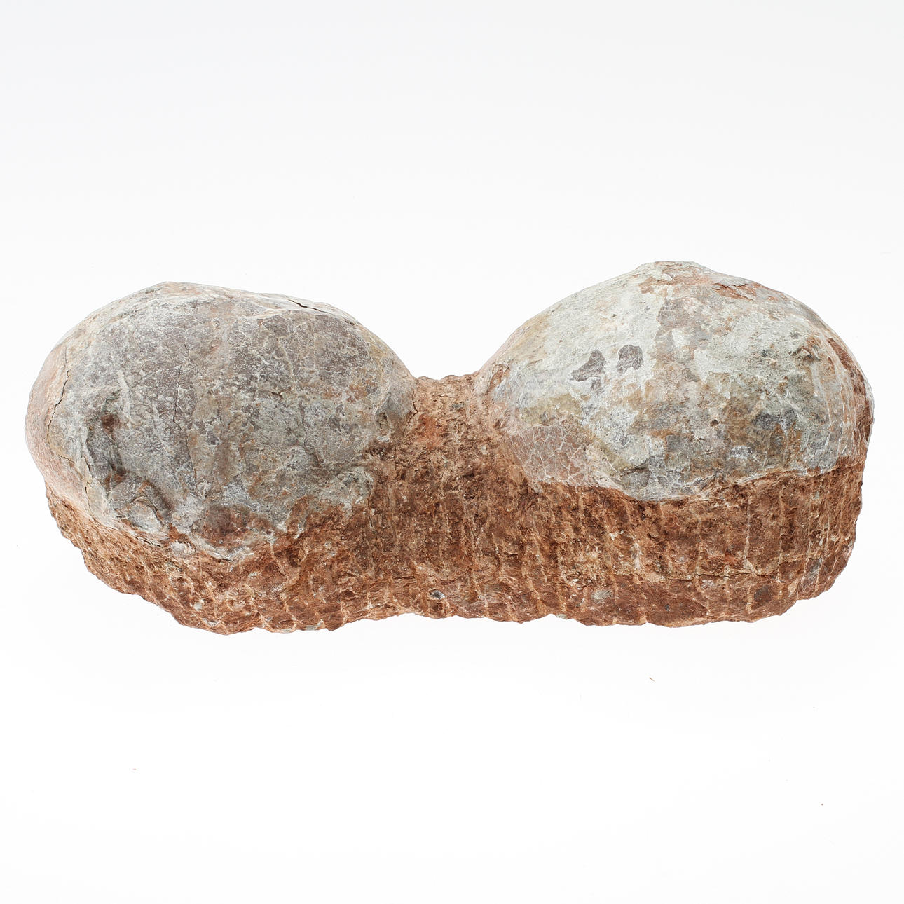 DINOSAURIEÄGG, 2 st.