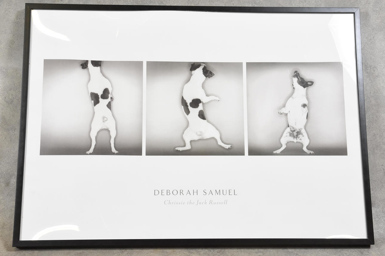 IMPRIMIR "Chrissie el Jack Russel" Deborah Samuel.