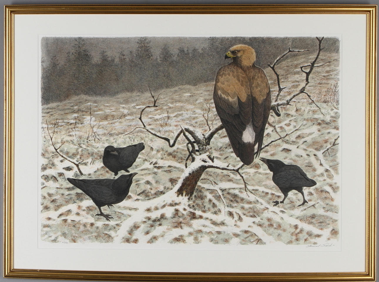 LENNART SAND. 2 st, grafiska blad, Fågelmotiv, signerade och numrerade 247/280.