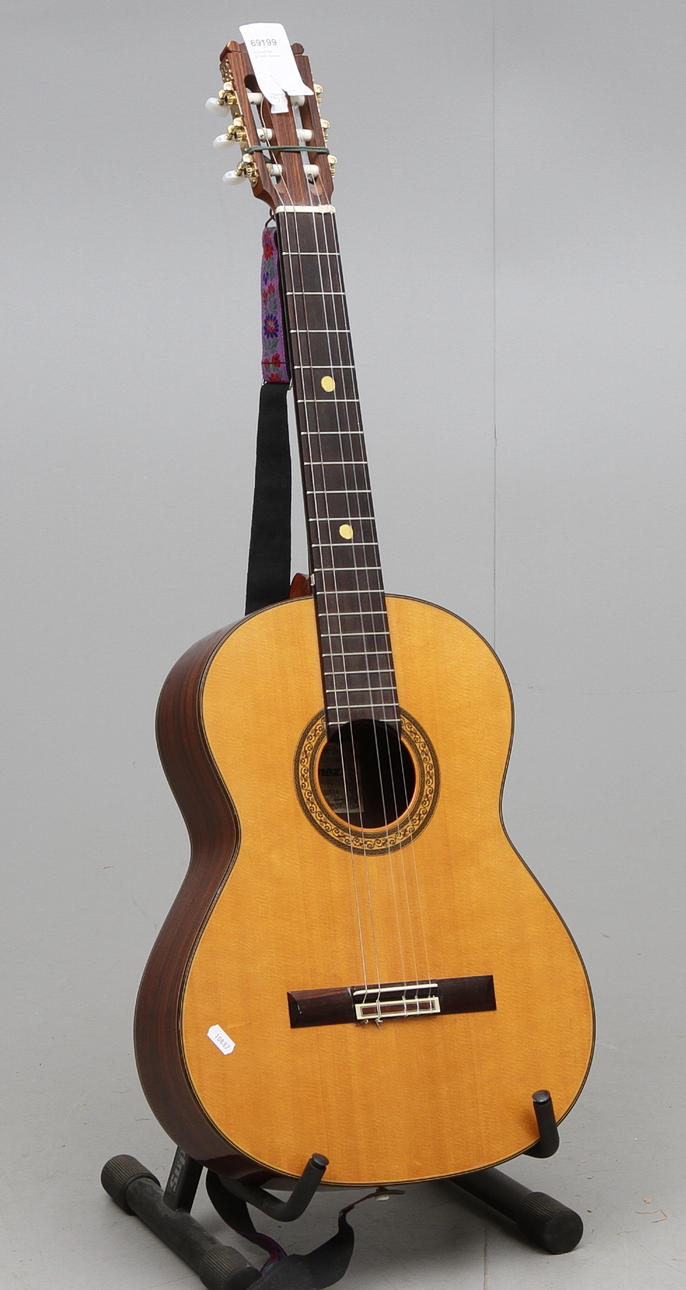 AKUSTISK GITARR, Ibanez.