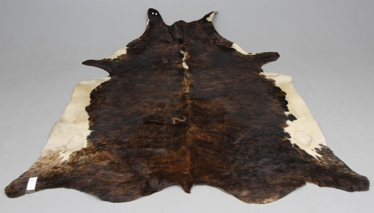 MATTA, Oxhud, 1900/2000 tal.