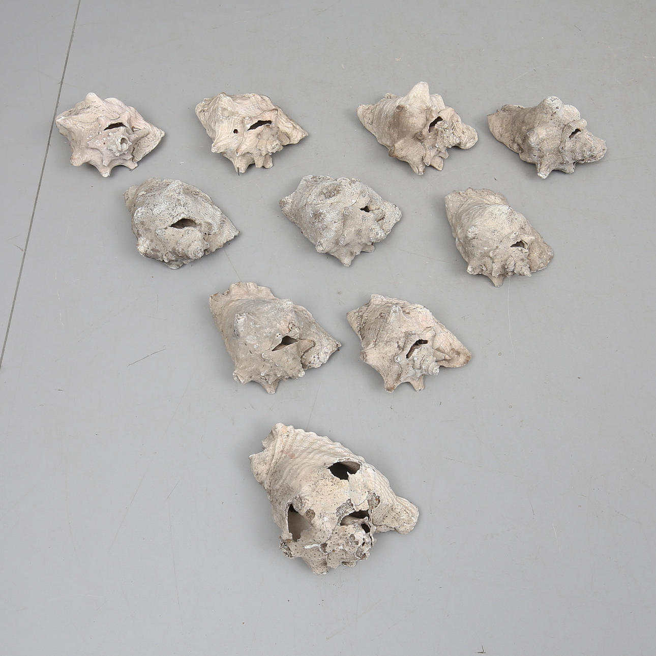 TRÄDGÅRDSSNÄCKOR, 10 st, 1900-tal.