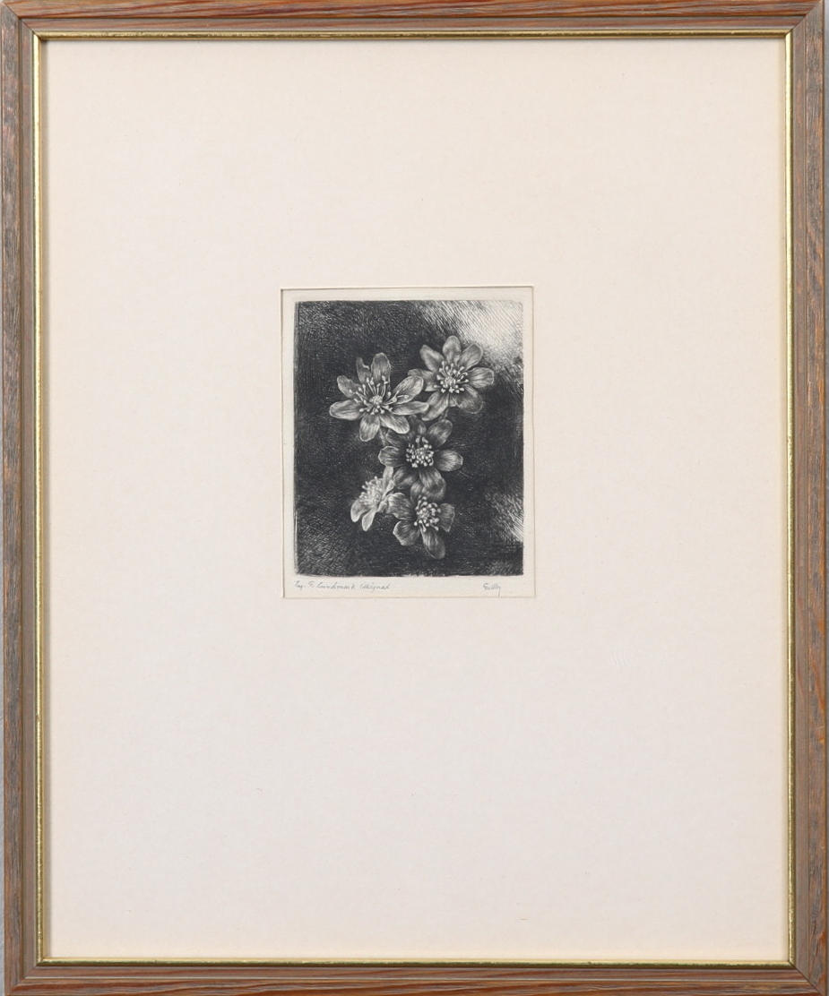 FOLKE GULLBY. "Blåsippor". Nr 183. Etsning. Utförd 1955. Blyertssignerad Gullby.