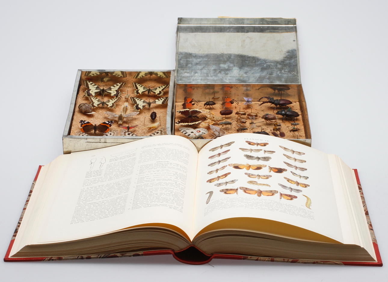 FJÄRILS-OCH INSEKTSSAMLING samt BOK, "Svenska fjärilar", Nordström, Wahlgren och Tullgren, Stockholm 1941.