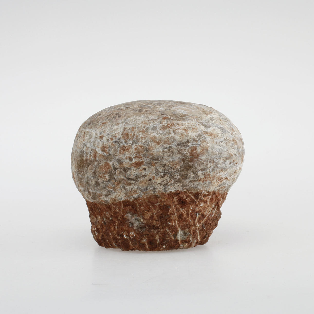 DINOSAURIEÄGG, fossil.