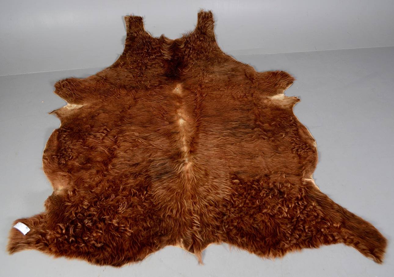 ELÄINNAHKA, nautakarja. 230 x 200 cm.