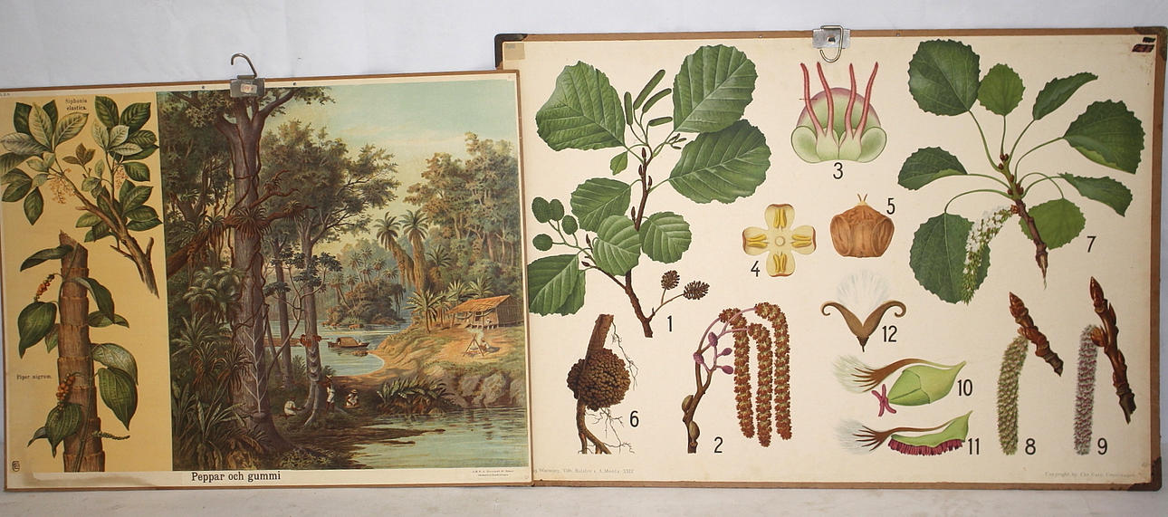 SKOLPLANSCHER, 2 st. vintage.