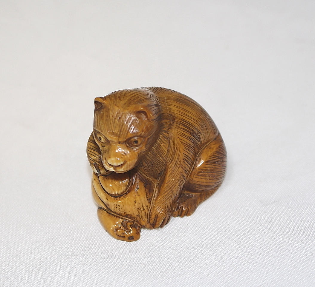 NETSUKE, bone, animal, signed Kazuyuki, Japan.