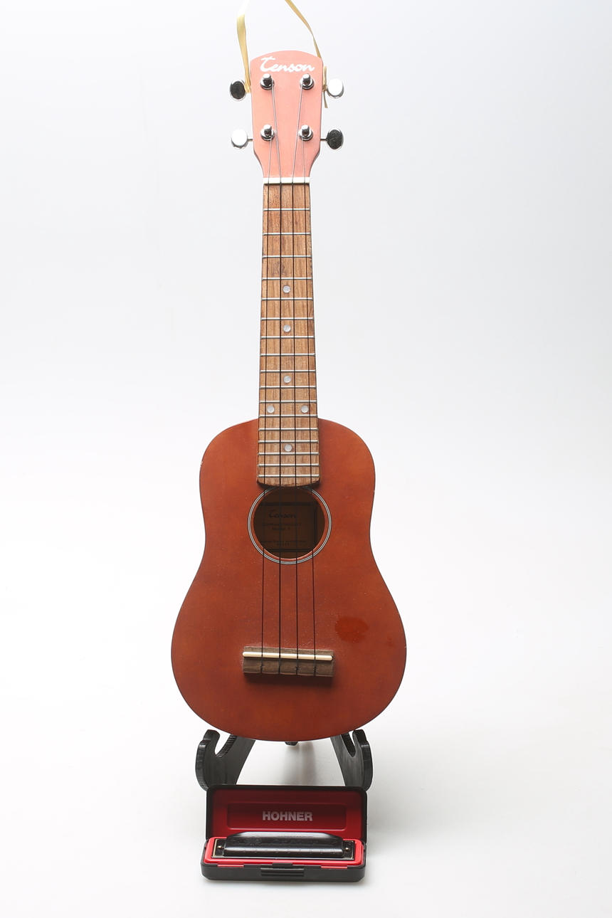 UKULELE, Stenson and HARP, Hohner Pro Harp.