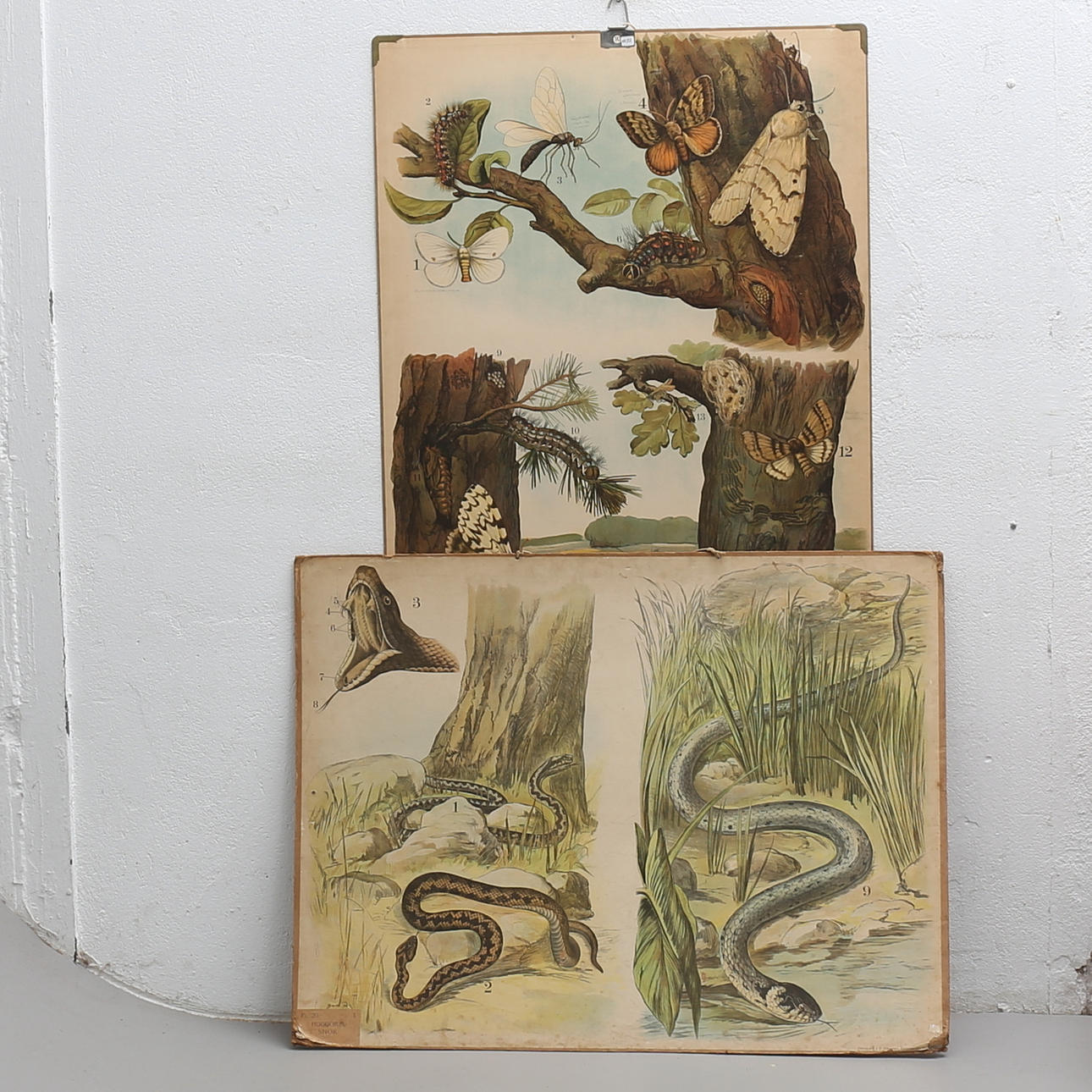 SKOLPLANSCHER, 2 st, 1900-talets första hälft.