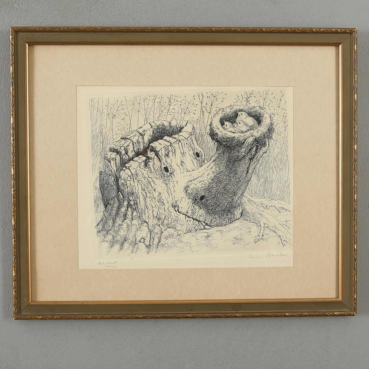 EINAR NORELIUS. "Bird's nest", engraving, monogram signed and dated 52 in the plate, signed and numbered 207/310.