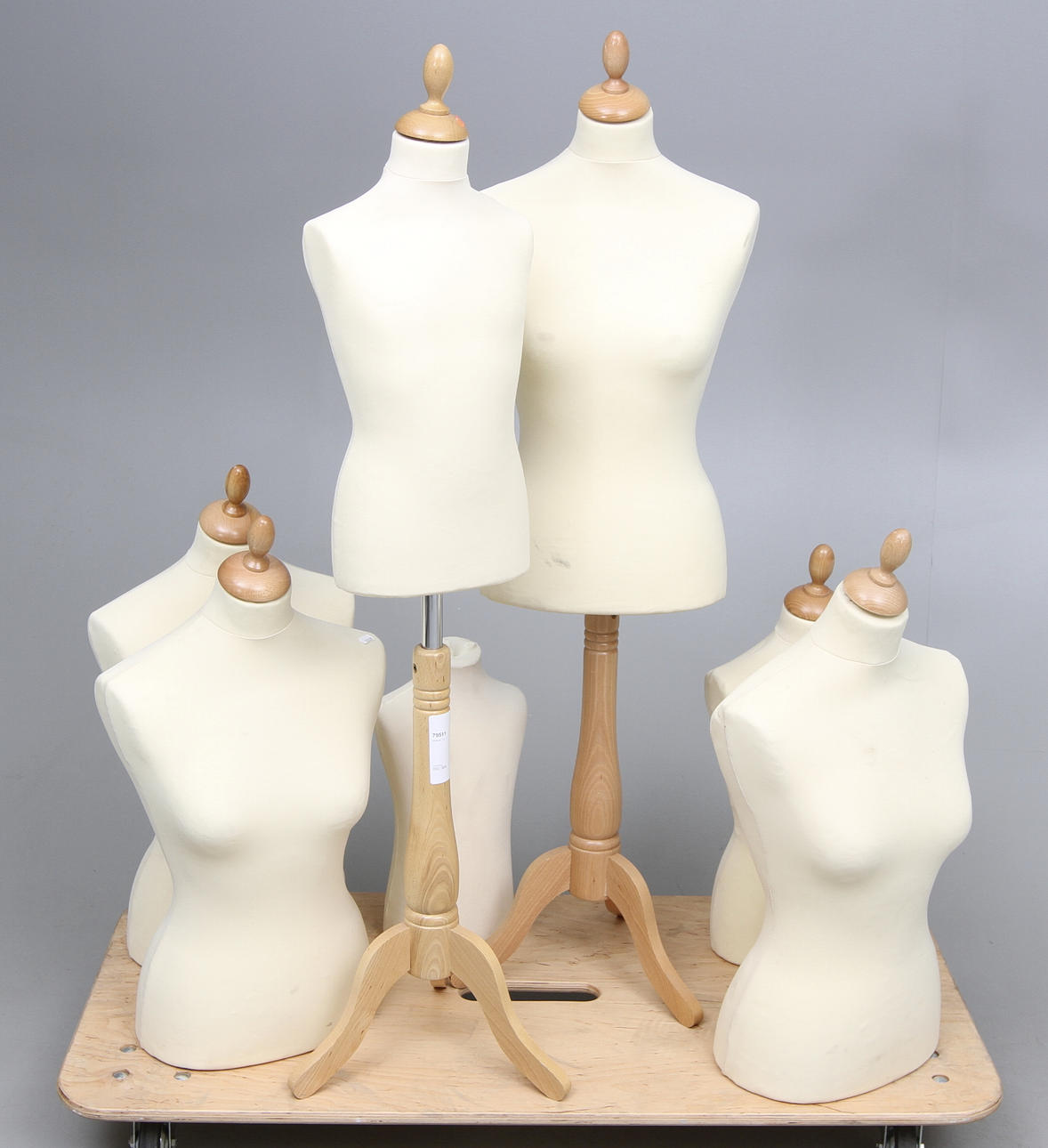 TORSOS, 7 st.