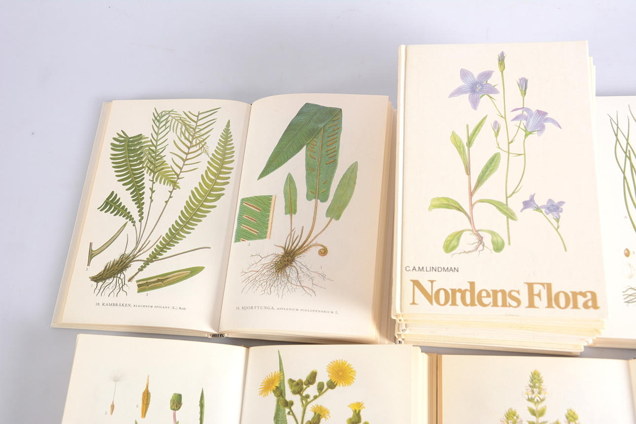 NORDEN FLORA, 1-10, CAM Lindman. Bøger, kort & manuskripter