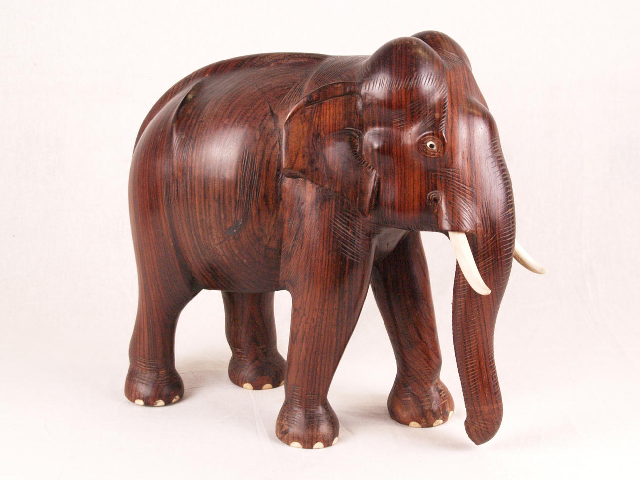 ELEFANTE GRANDE - INDIA.