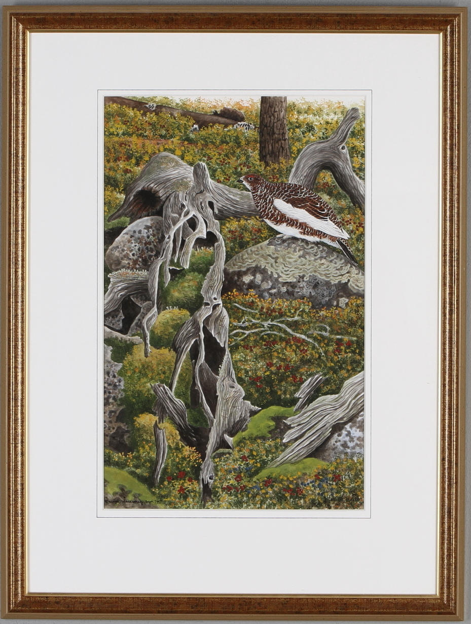 MATSÅKE BERGSTRÖM. "Dalripa", akvarell, signerad samt daterad 1997.