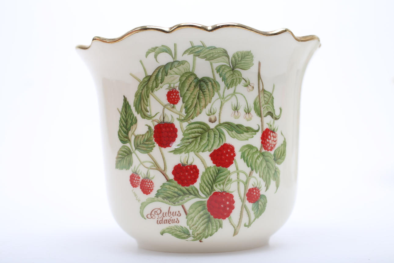 OUTER LINING, 5 pieces, ceramic, "Baccae Nordicae", Goebel.