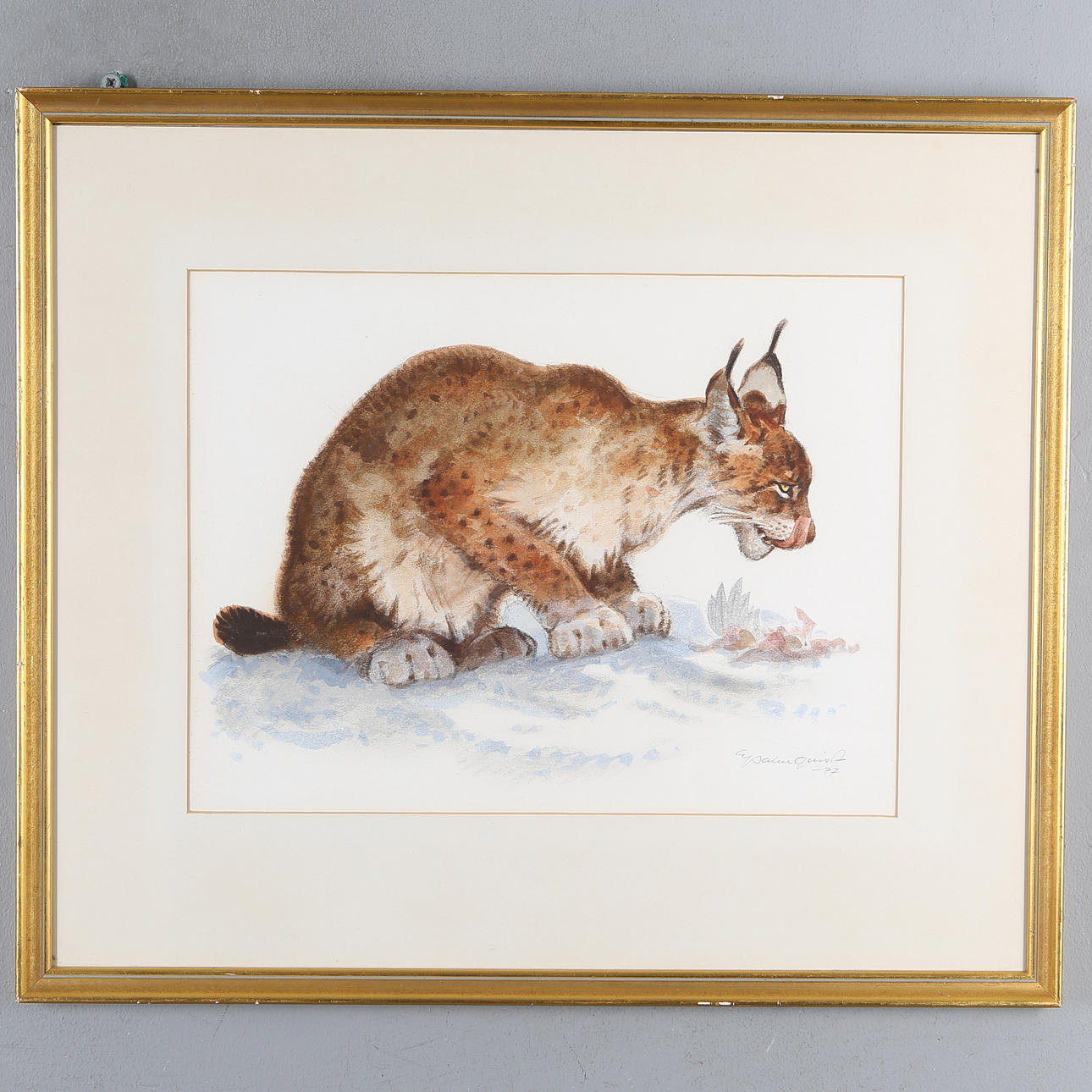 ERIC PALMQUIST. Lynx, watercolor, signed and dated -77.
