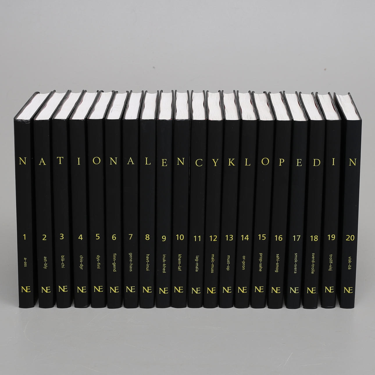 NATIONALENCYKLOPEDIN, 20 delar, 2009.