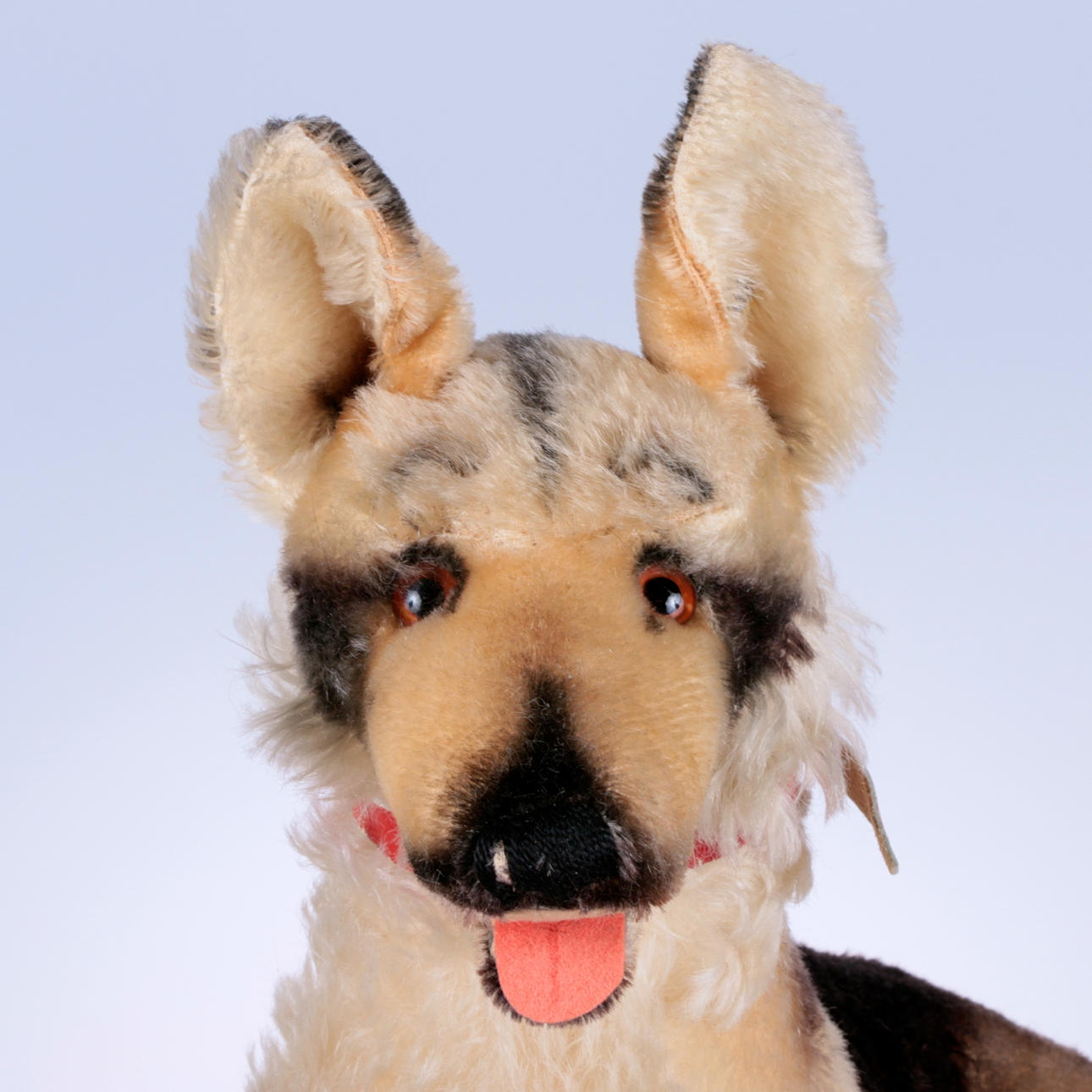 PERRO, Steiff, pastor alemán acostado, 1900.